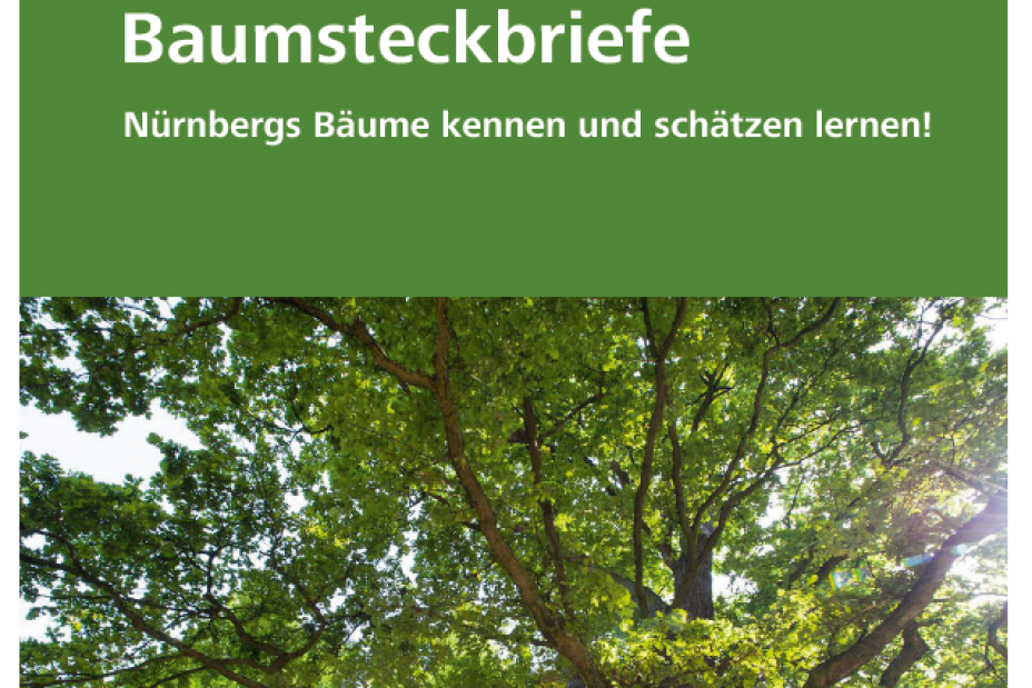 Cover Baumsteckbriefe