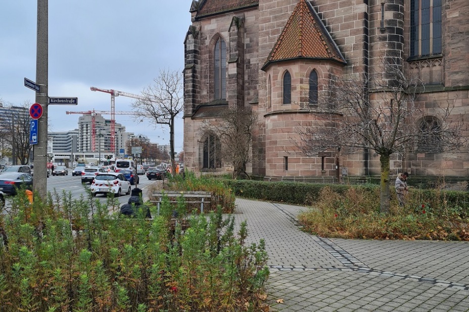 Baumscheiben in der Kirchenstraße vor der Neuplanung, Bild © Steffen Stritt / SÖR / Stadt Nürnberg