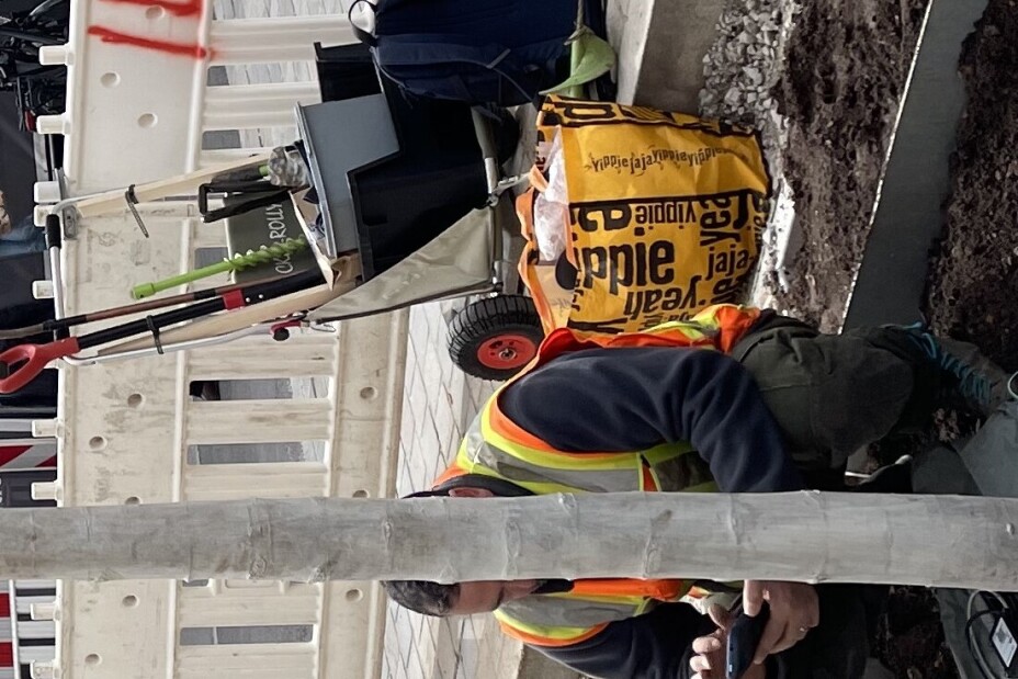 Baumstandort Breite Gasse Sensorinstallation, Bild © Florian Demling / SÖR / Stadt Nürnberg