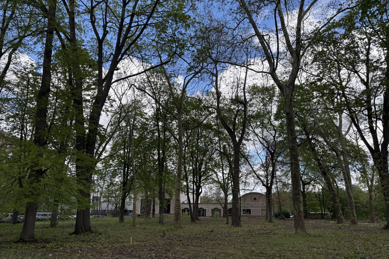 Grünfläche Sielstraße Lederbiergarten