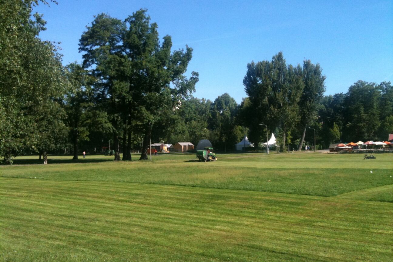 Wiesen, die viel zum Erholen und Spielen genutzt werden, mäht SÖR bis zu sechsmal im Jahr, hier zum Beispiel die Wöhrder Wiese., Bild © SÖR