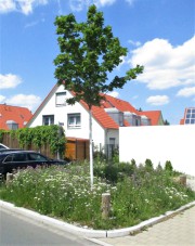 Bielefelderstraße Baumscheibe mit Blühfläche