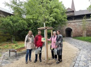 Drei Mitglieder und Präsidentinnen des SI Club Nürnberg stehen mit dem Stadtbaum-Manager am Spendenbaum. Sie halten zwei Gießkannen aus Metall und das Spendenschild. Im Hintergrund das Hallertor.