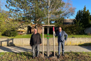 Nach Erlangen und Fürth freut sich nun auch Nürnberg über die ersten gespendeten Bäume von Künstler Karsten Neumann.
