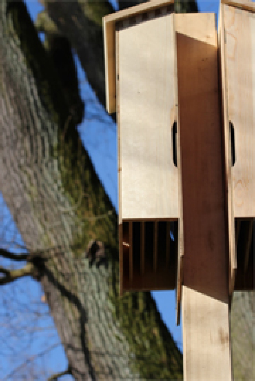 © Dr. Stefan Böger Großraum-Spalten-Fledermauskasten © Dr. Stefan Böger
