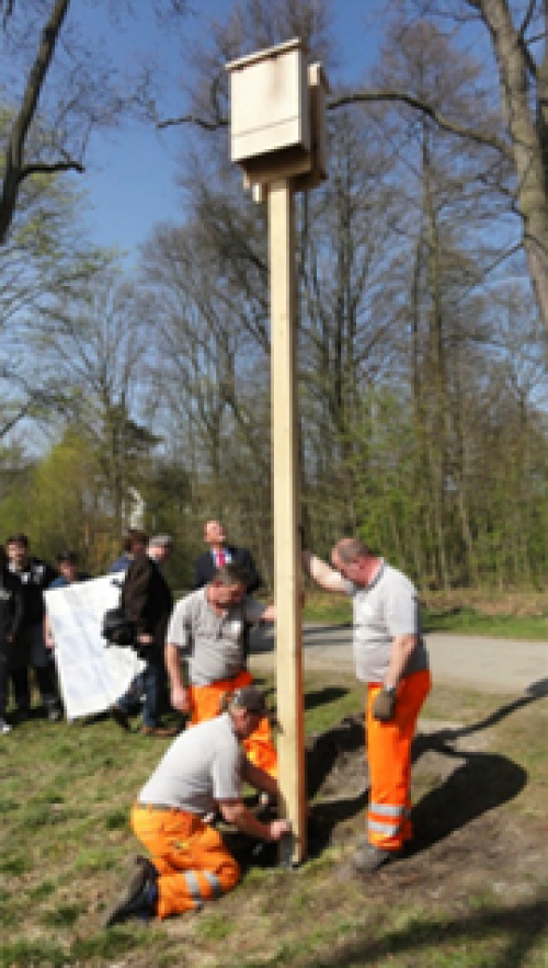 © Bettina Cordes Nistkasten am kleinen Dutzendteich © Bettina Cordes