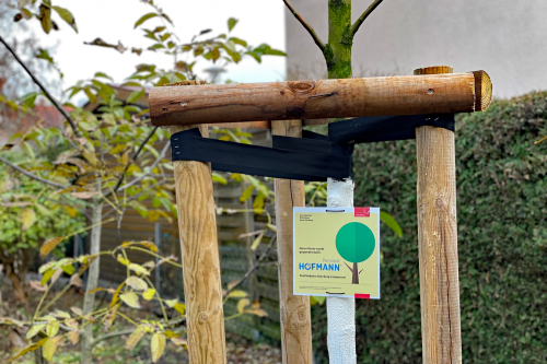 Das Baumspendenschild zur Baumspende Hofmann an einem Baum