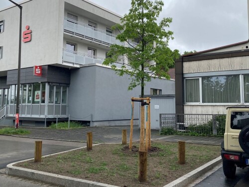 Neue Baumscheibe in der Bregenzer Straße 2024