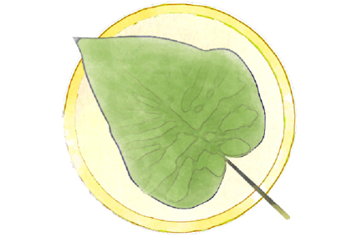 22 Bäume lernen Sie auf dem Baumlehrpfad im Stadtpark kennen. © SÖR / Stadt Nürnberg