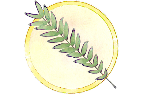 25 Bäume lernen Sie auf dem Baumlehrpfad im Stadtpark kennen. © SÖR / Stadt Nürnberg