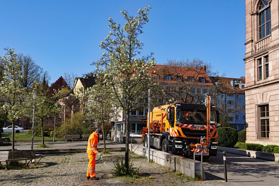 Baumbewässerung auf dem Rosa-Luxemburg-Platz
