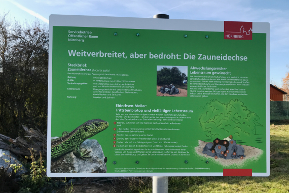 Info-Tafel Zauneidechsen