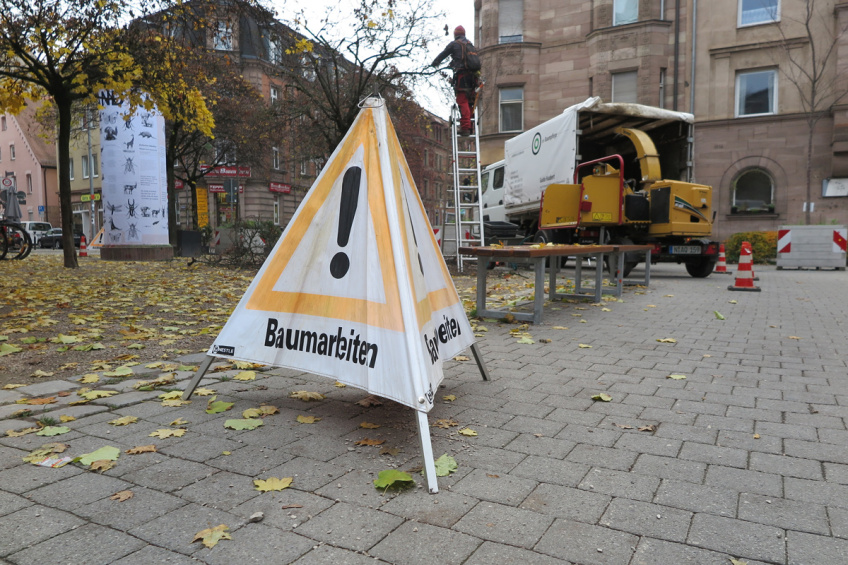 Baumschnitt, Bild © André Winkel / SÖR/Stadt Nürnberg