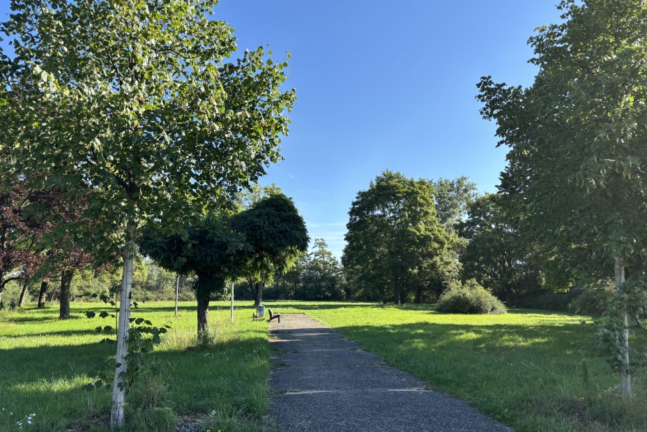 Baubeginn: Neuer Soccer-Court an der Fürther Straße, Bild © Kathrin Lehnerer / Stadt Nürnberg
