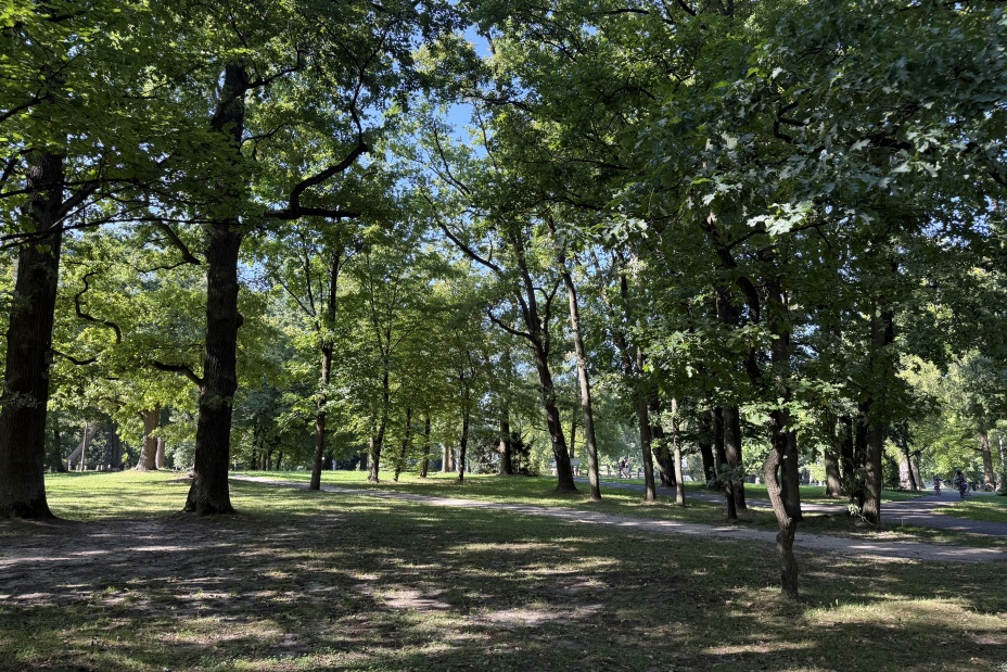 Aufwertung der Grünanlage Platnersberg, Bild © Kathrin Lehnerer / Stadt Nürnberg