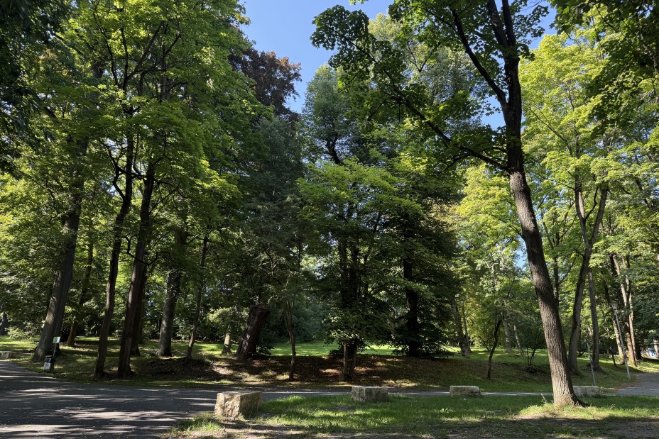 Aufwertung der Grünanlage Platnersberg, Bild © Kathrin Lehnerer / Stadt Nürnberg