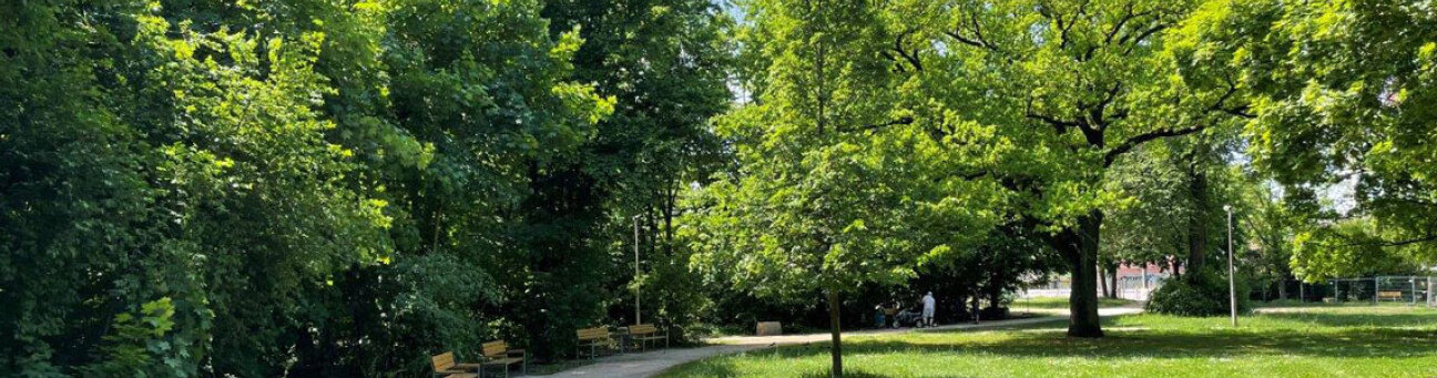 Hohe Marter neue Wege
