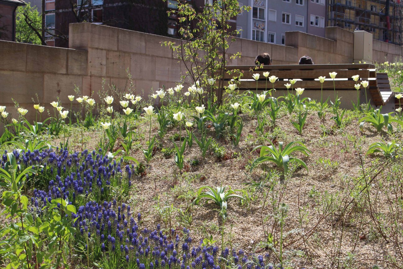 Früher war hier ein Parkplatz: Der Pocket Park Nonnengasse ist November 2019 eingeweiht worden und besticht durch ungewöhnliche Sitz- und Liegemöbel.