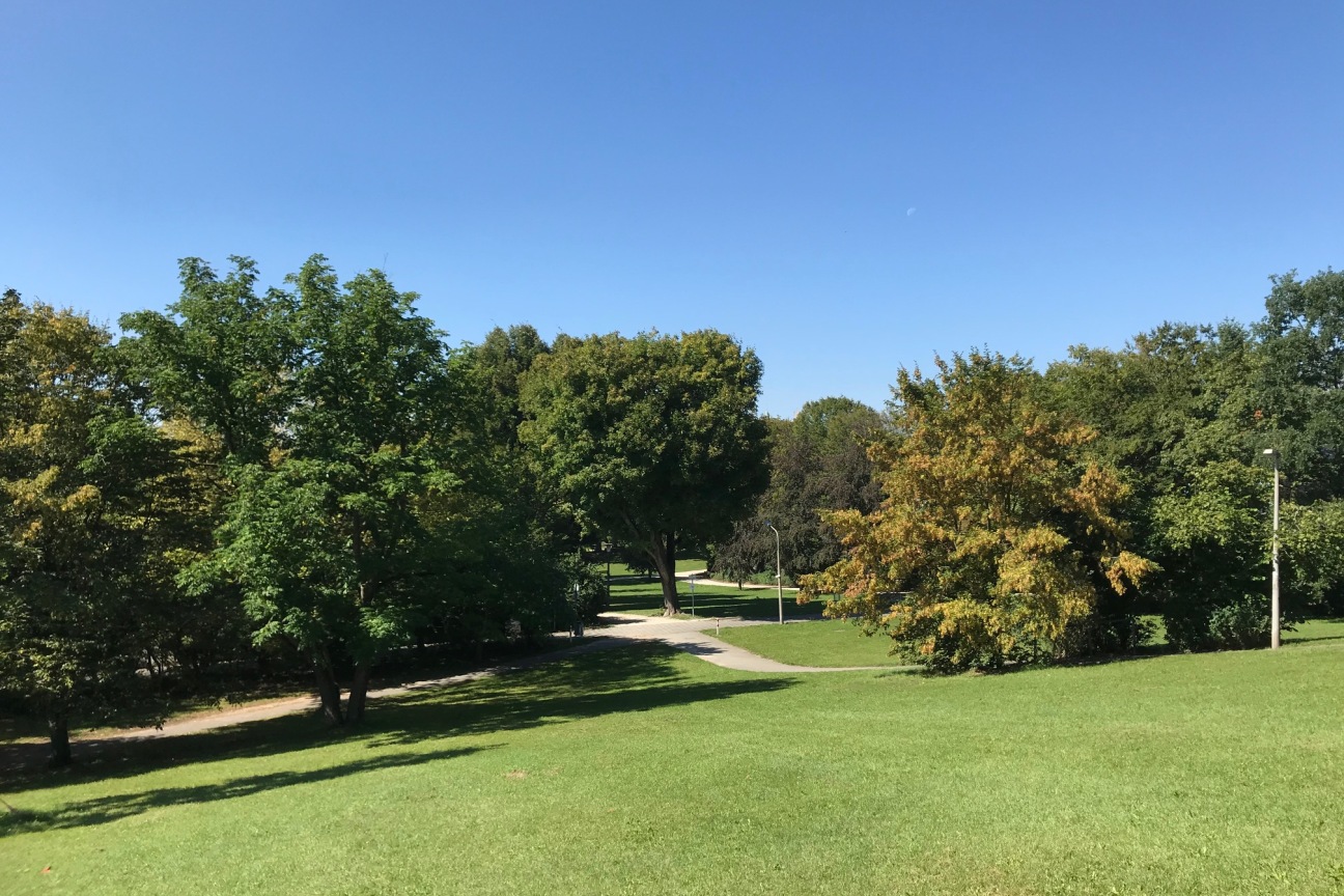 Der wertvolle alte Baumbestand und die Rasenflächen des Rechenbergs bilden weiterhin das Kernstück des Parks - hier in Blickrichtung der Welserstraße. Von dem quirligen Stadtteil Schoppershof hinter der Welserstraße ist an diesem Standort nichts zu erahnen., Bild © Ulrike Goeken-Haidl / SÖR Stadt Nürnberg
