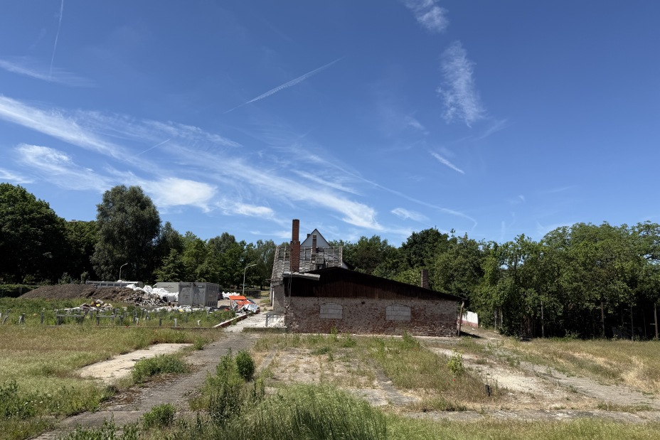 Bild © Kathrin Lehnerer / Stadt Nürnberg Der Servicebetrieb Öffentlicher Raum Nürnberg (Sör) beginnt mit dem vollständig klimaneutralen Rückbau der ehemaligen Gärtnerei Sauerbrey im Westpark., Bild © Kathrin Lehnerer / Stadt Nürnberg