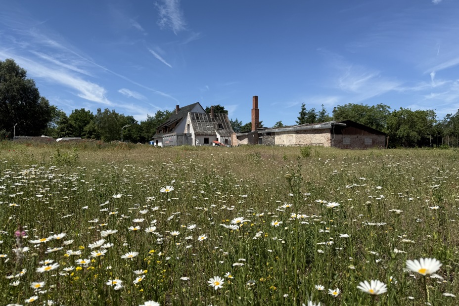 Bild © Kathrin Lehnerer Der Servicebetrieb Öffentlicher Raum Nürnberg (Sör) beginnt mit dem vollständig klimaneutralen Rückbau der ehemaligen Gärtnerei Sauerbrey im Westpark., Bild © Kathrin Lehnerer