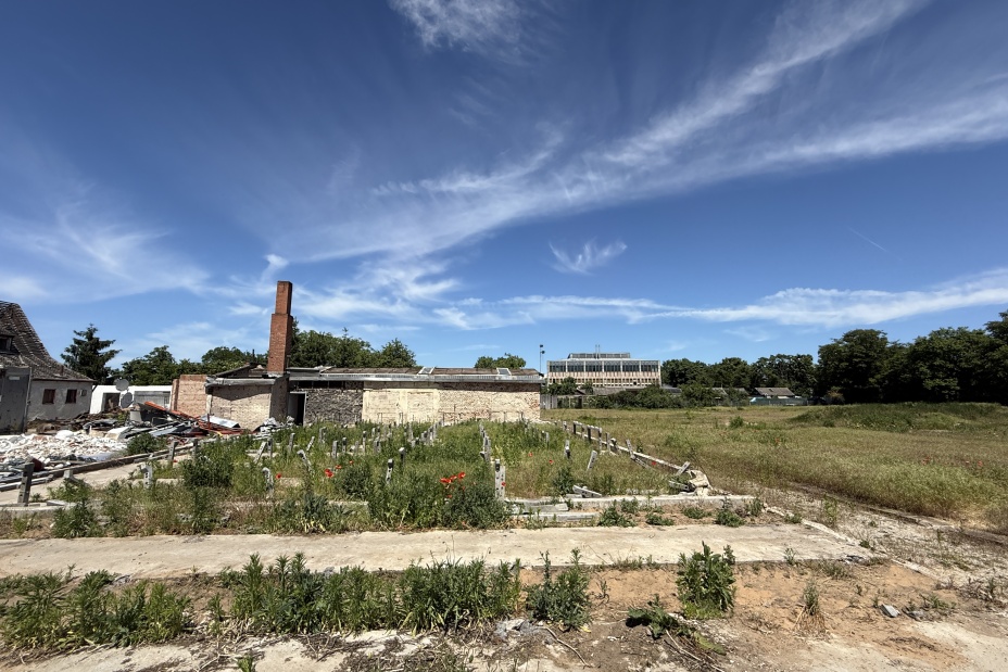 Bild © Kathrin Lehnerer Der Servicebetrieb Öffentlicher Raum Nürnberg (Sör) beginnt mit dem vollständig klimaneutralen Rückbau der ehemaligen Gärtnerei Sauerbrey im Westpark., Bild © Kathrin Lehnerer