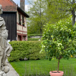 Hesperidengärten Skulptur mit Zitronenbäumchen