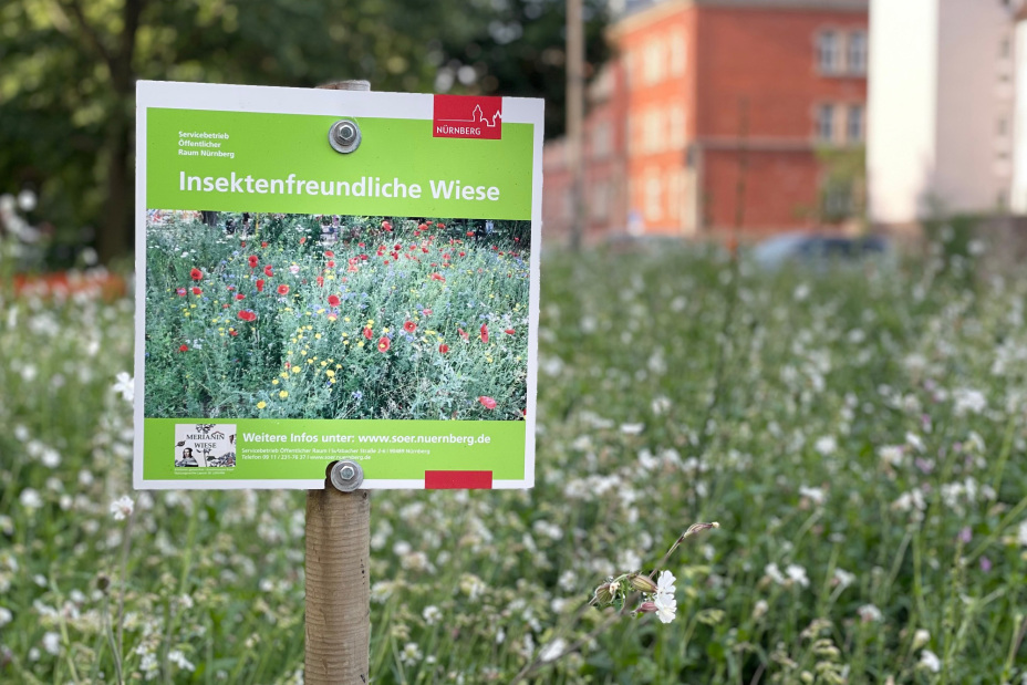 Bio Bluehwiese Kontumazgarten Schild, Bild © SÖR / Stadt Nürnberg