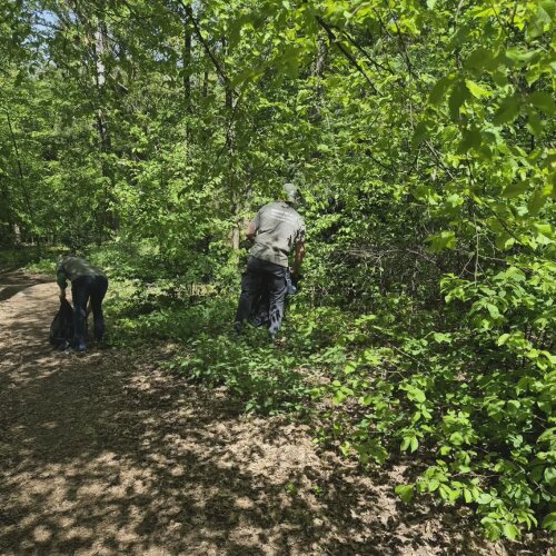 Kehrd Wärd Werkhof Natur Sammeln