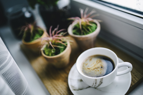 Kaffeetasse und kleine Kakteen auf der Fensterbank