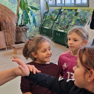 ( Bild: Leon Ackermann / Leon Ackermann ) Mädchencamp 2026