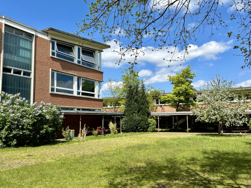 Oberhalb ist eine Hausverfassede mit Fenstern und unten ist eine grüne Wiese mit sommerlichen Bäumen.