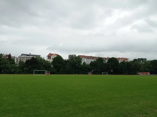 Großes grünes Fußballfeld mit mehreren Toren und Bäumen sowie Wohngebäuden im Hintergrund unter bewölktem Himmel. © Anna Maria Grotowska