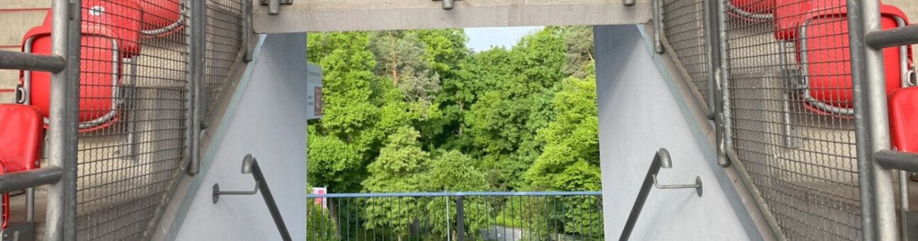 Bild der Stadiontribüne mit Bäumen im Hintergrund
