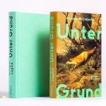 Der Buchumschlag des Romans "Unter Grund" von Annegret Liepold zeigt einen Fuchs im Wald.