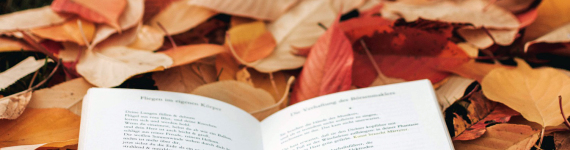 Ein Buch liegt auf gelben Herbstblättern.