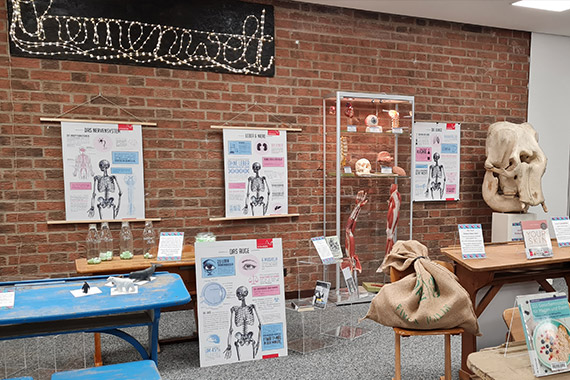 Einblick in die Ausstellung Themenwelt