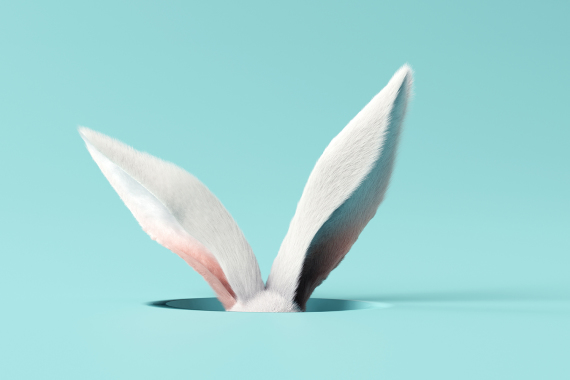 Osterhasenohren auf Blauem Hintergrund