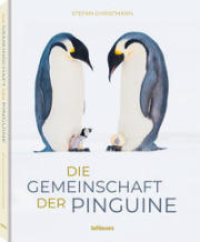 Stefan Christmann: Die Gemeinschaft der Pinguine