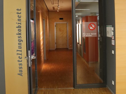 Das Bild zeigt eine offene Glas·tür. Die Tür führt in einen Flur mit weiteren Türen.