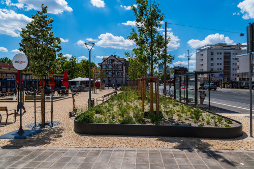 begrüntes Hochbeet auf dem Mögeldorfer Platz