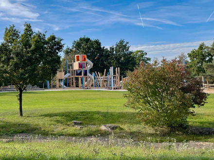 Foto von einer Wiese mit einem Baum und einem Busch. Im Hintergrund ist der Spiel·platz Annette-Kolb Anlage in Nürnberg.