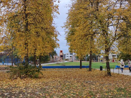 Foto von dem Park in der Annette-Kolb-Anlage.
