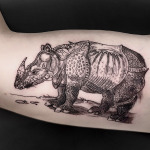 Ein Oberarm mit einem Tattoo. Es zeigt ein Nashorn nach Vorbild des Werkes Rhinocerus von Albrecht Dürer aus dem Jahr 1515. Es wurde erstellt von der Tattoo-Künstlerin LeonKa.