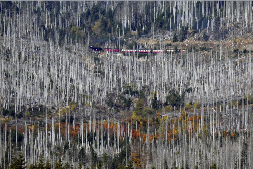 © Matthias Schrader Gesamtsieger Pressefoto Bayern 2025: "Lichtblick" von Matthias Schrader. © Matthias Schrader