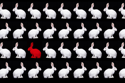 Illustration zum Stück Weißes Kaninchen, Rotes Kaninchen.