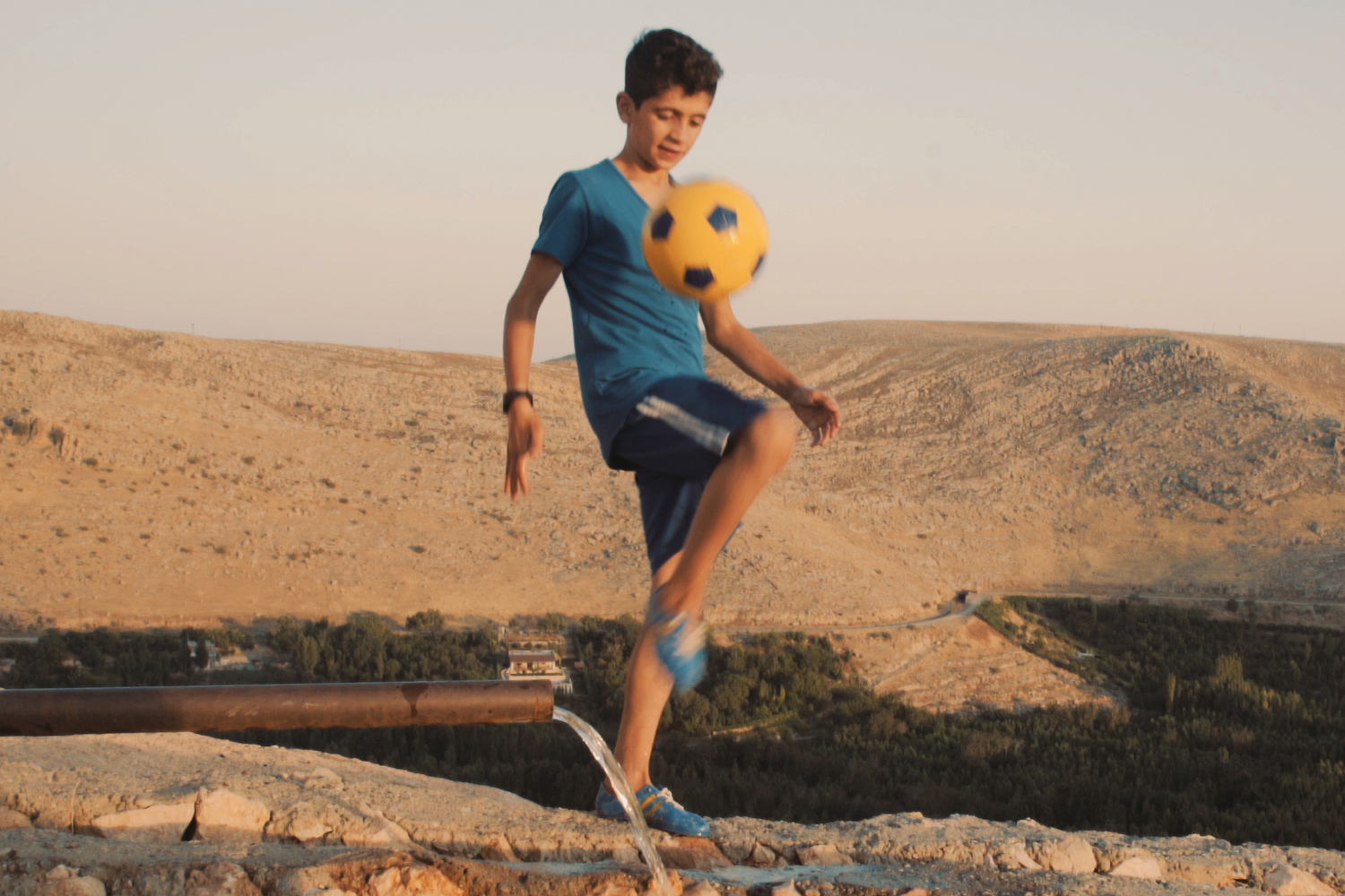 Kino Nürnberg Programm