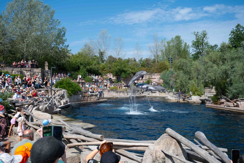 Foto: Außenanlage mit Wasserbecken, aus dem Delfine springen. Darum herum Besucher und begrünte Bereiche., Bild © Stadt Nürnberg/Christine Dierenbach
