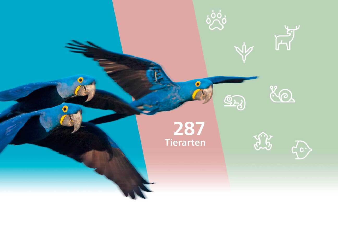 Nürnberg Heute 113: 287 Tierarten im Nürnberger Tiergarten, Bild © Aussie Anouk/Stadtgrafik / Adobe Stock