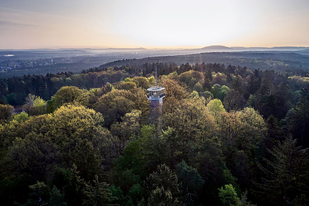 Blick über den Schmausenbuck-Aussichtsturm nach Osten: Der Reichswald ist Grüne Lunge und Naherholungsgebiet zugleich., Bild © Gerhard Illig / Stadt Nürnberg